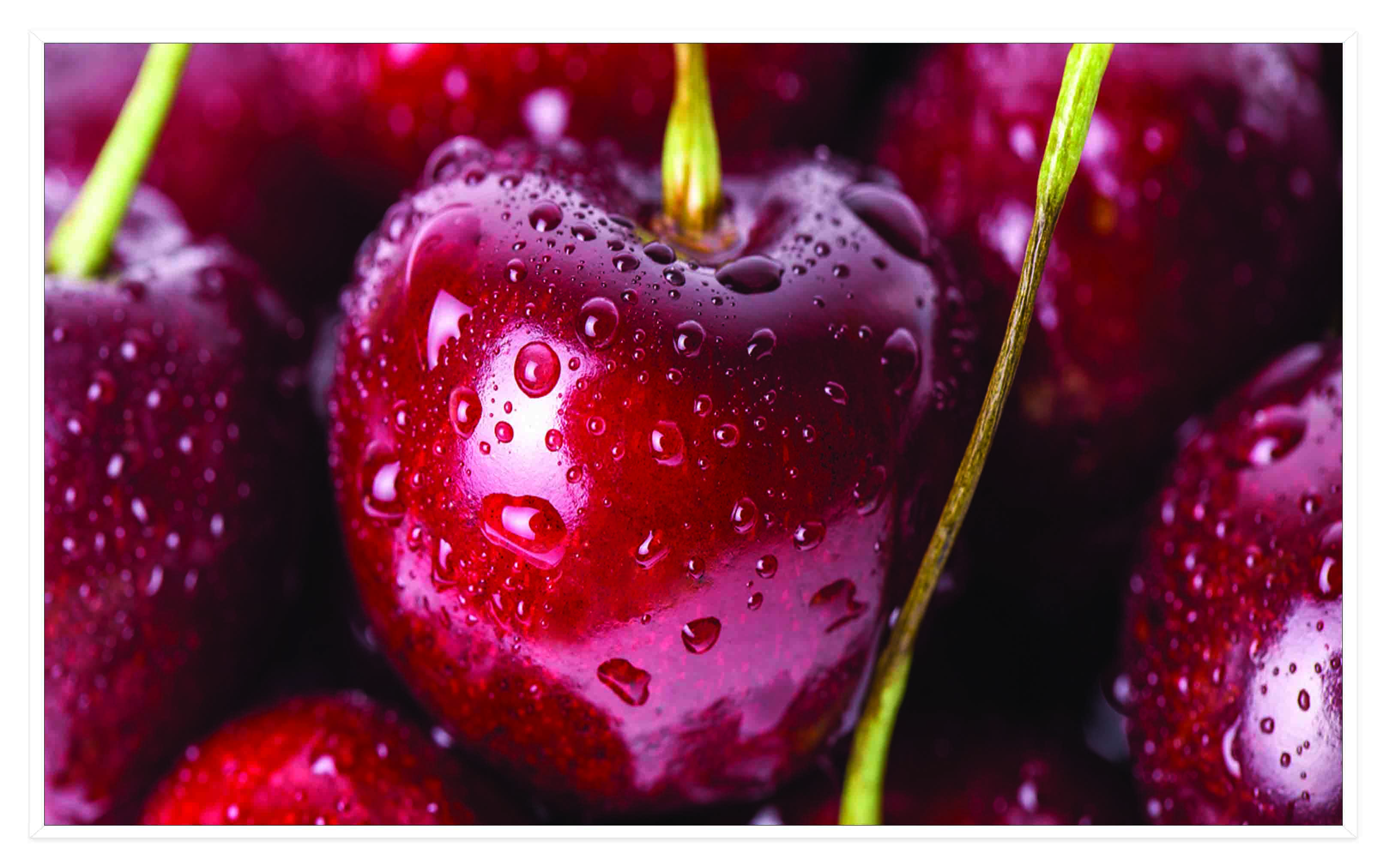 ASG209 Wall décor art printed on glass cherries